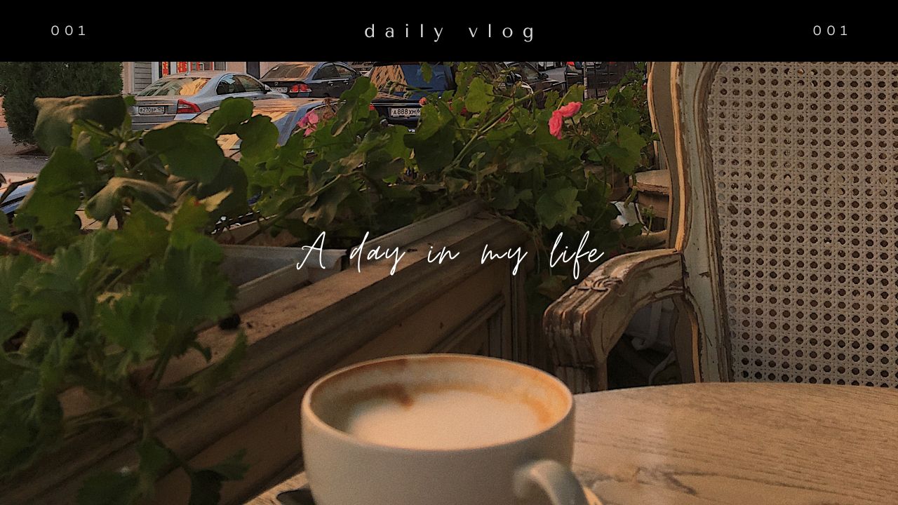 Video Thumbnail
